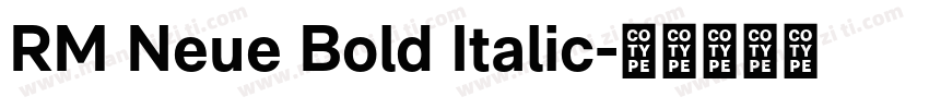 RM Neue Bold Italic字体转换
